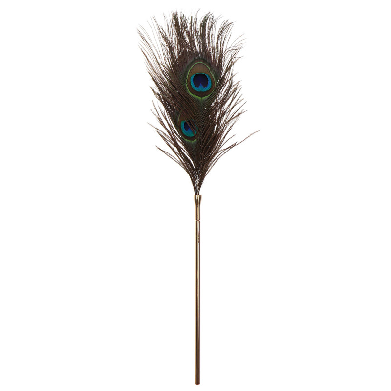 Plumeau à caresses Peacock Tickler - Taboom